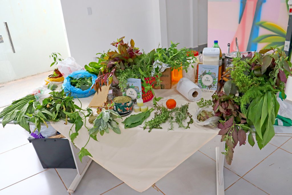 MÓDULO 3 - CURSO DE USO POPULAR DAS PLANTAS MEDICINAIS